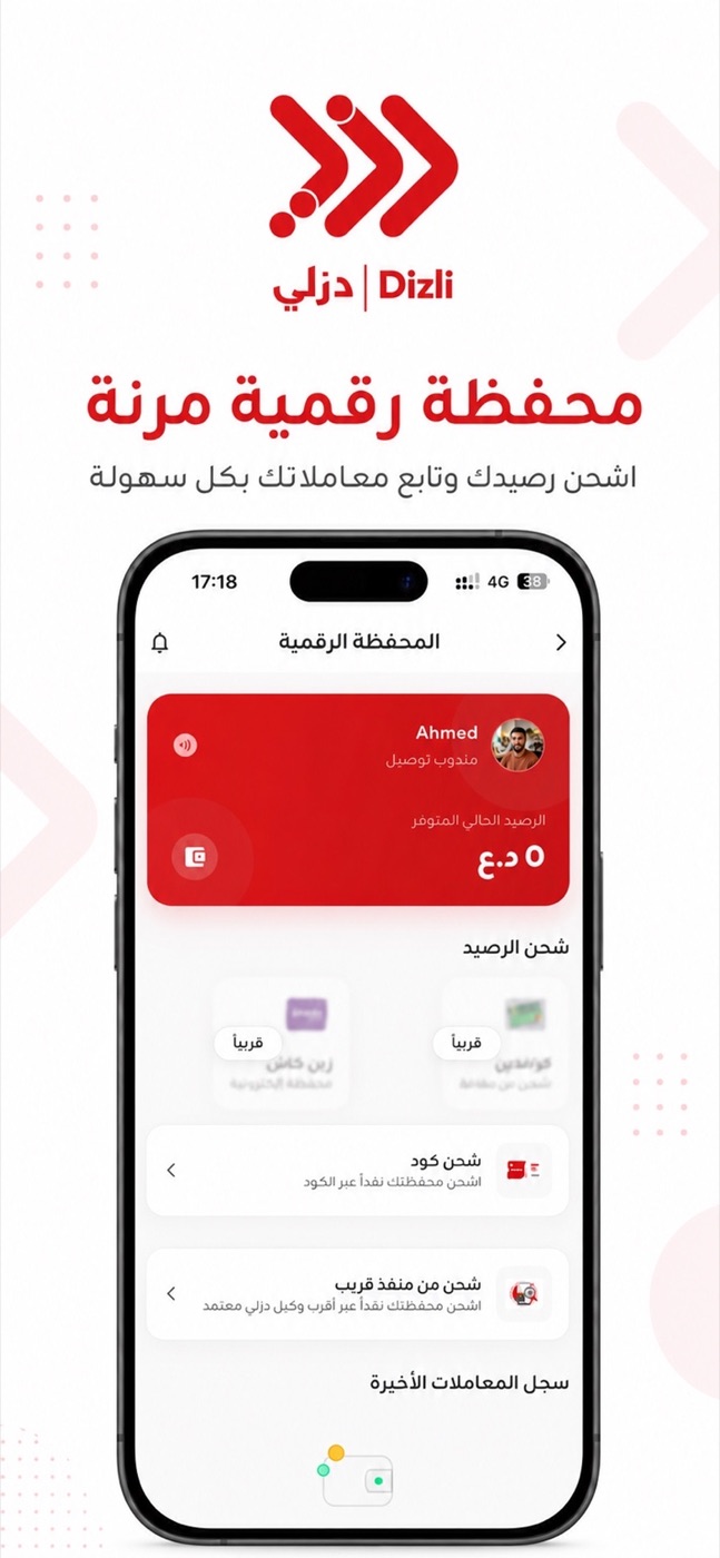 Dizli driver wallet and top-up options.